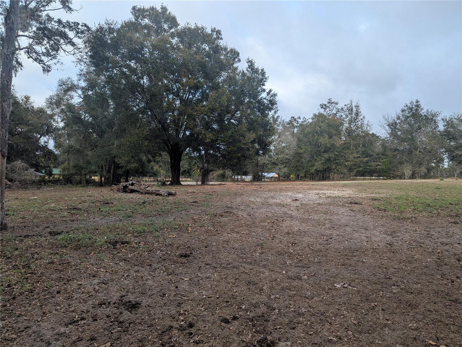 18695 NE 5TH TERRACE RD, CITRA, FL, 32113