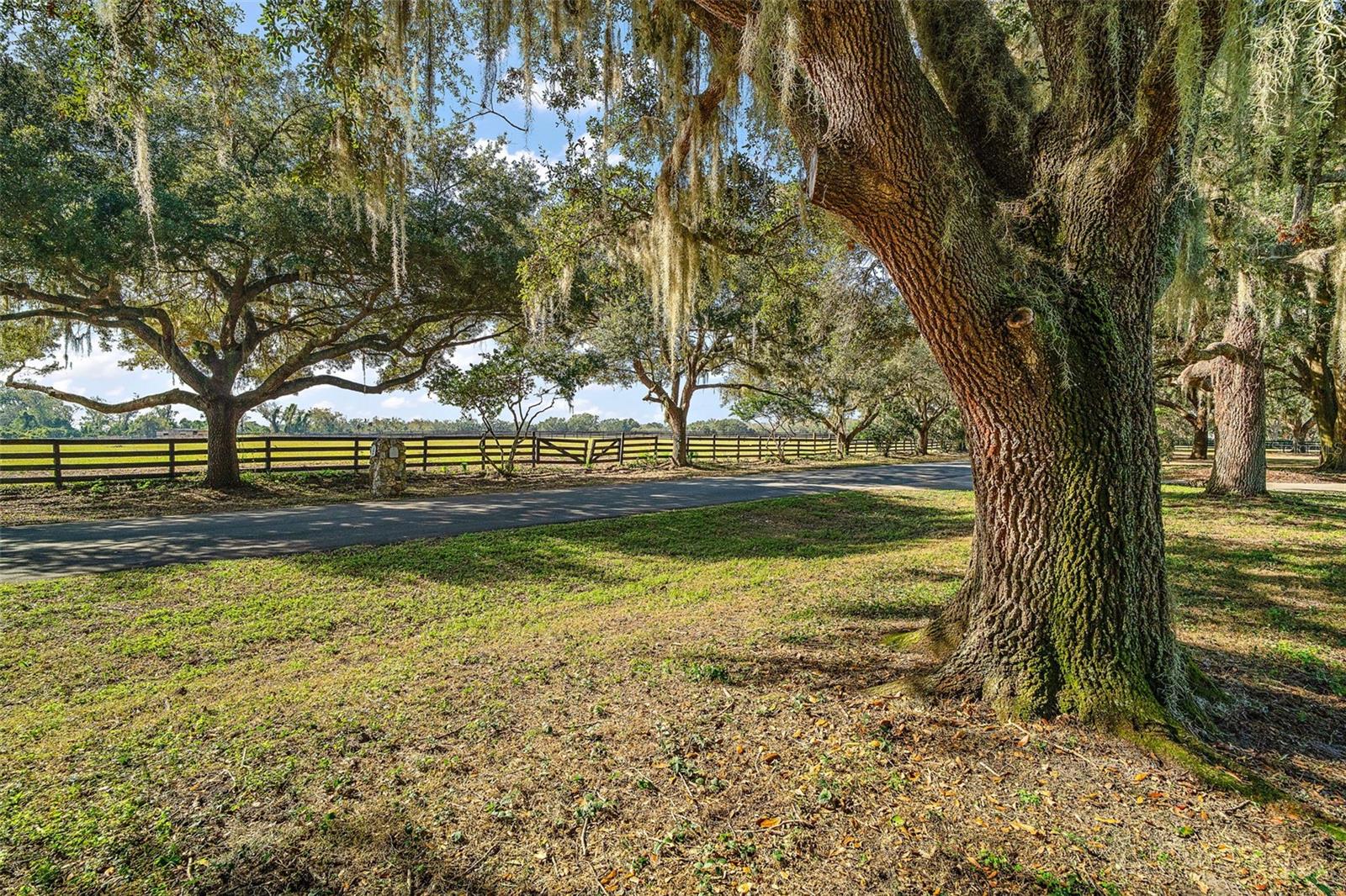 5415 BANANA POINT DR, OKAHUMPKA, FL, 34762