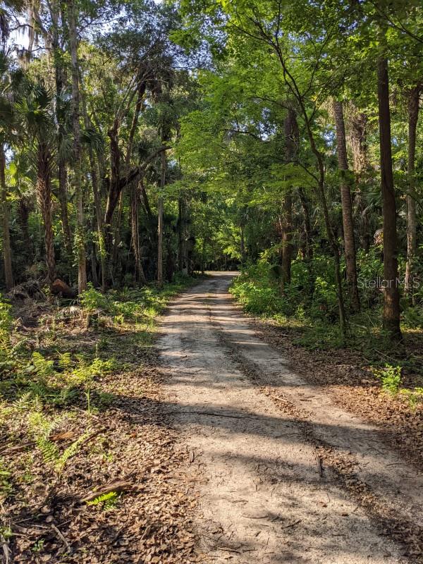 891 MICHIGAN ST, SANFORD, FL, 32773