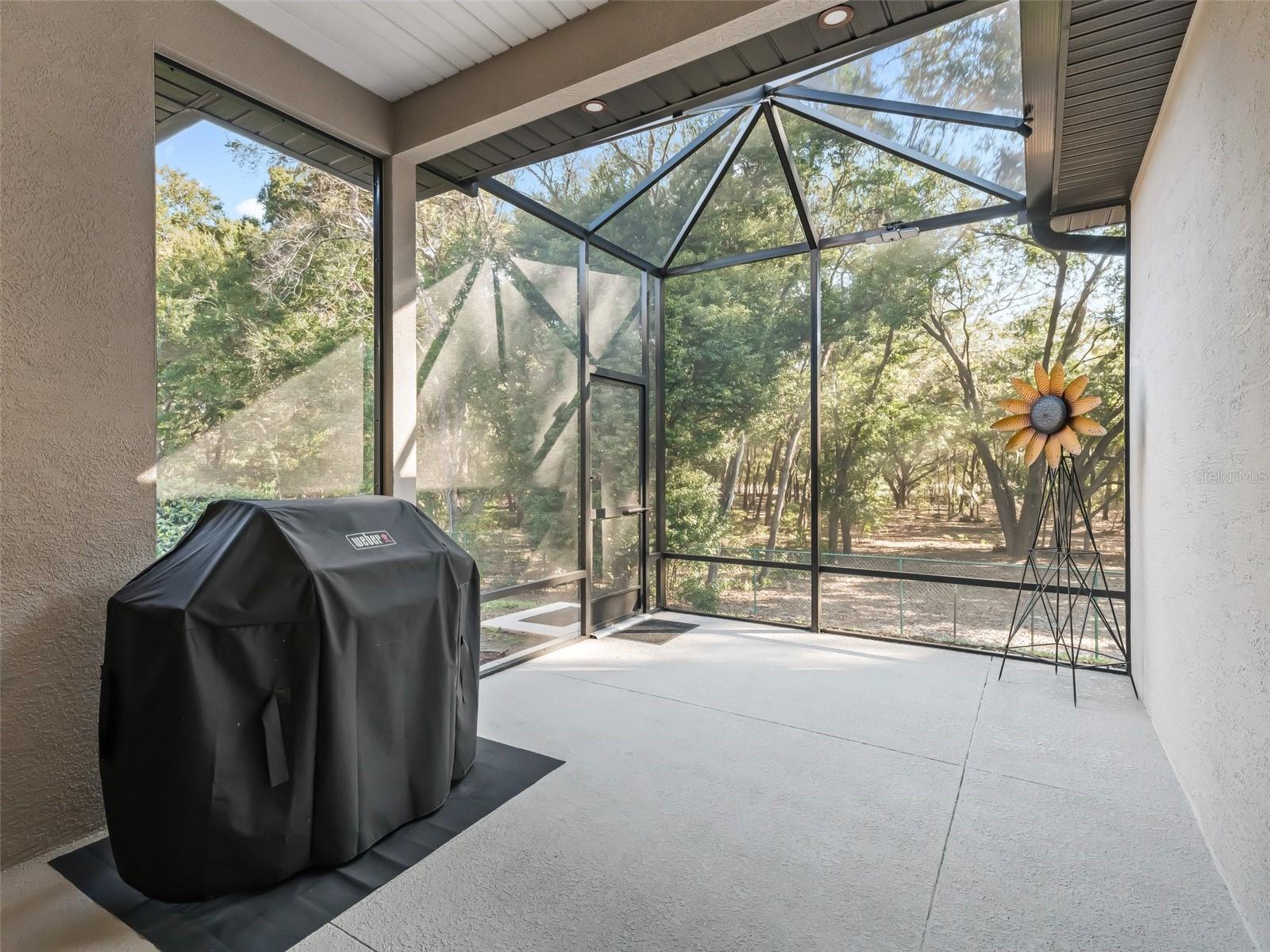 10994 SE 168TH LOOP, SUMMERFIELD, FL, 34491