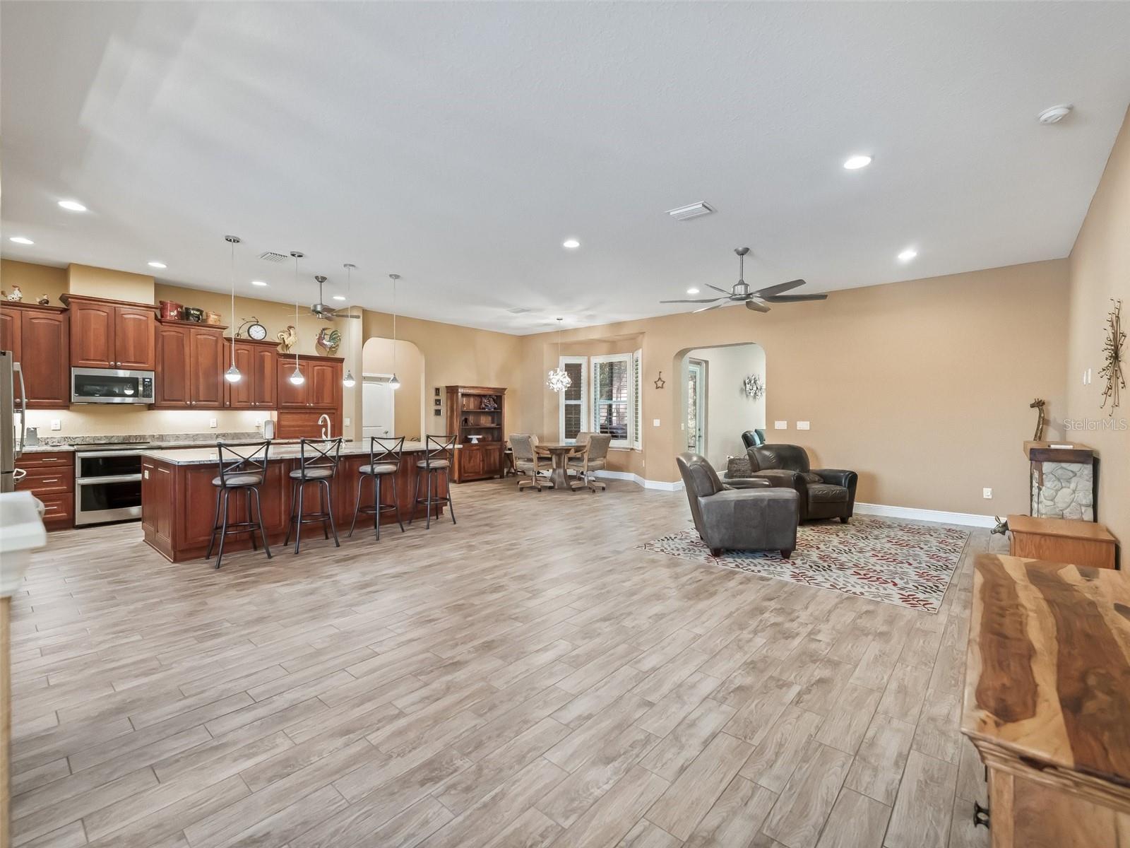 10994 SE 168TH LOOP, SUMMERFIELD, FL, 34491