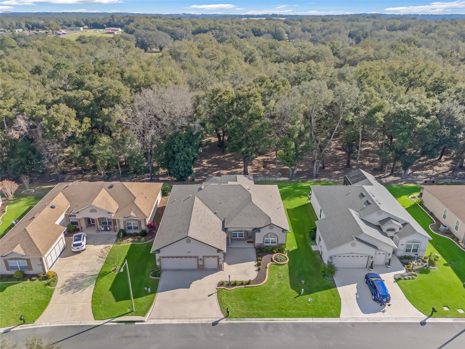 10994 SE 168TH LOOP, SUMMERFIELD, FL, 34491