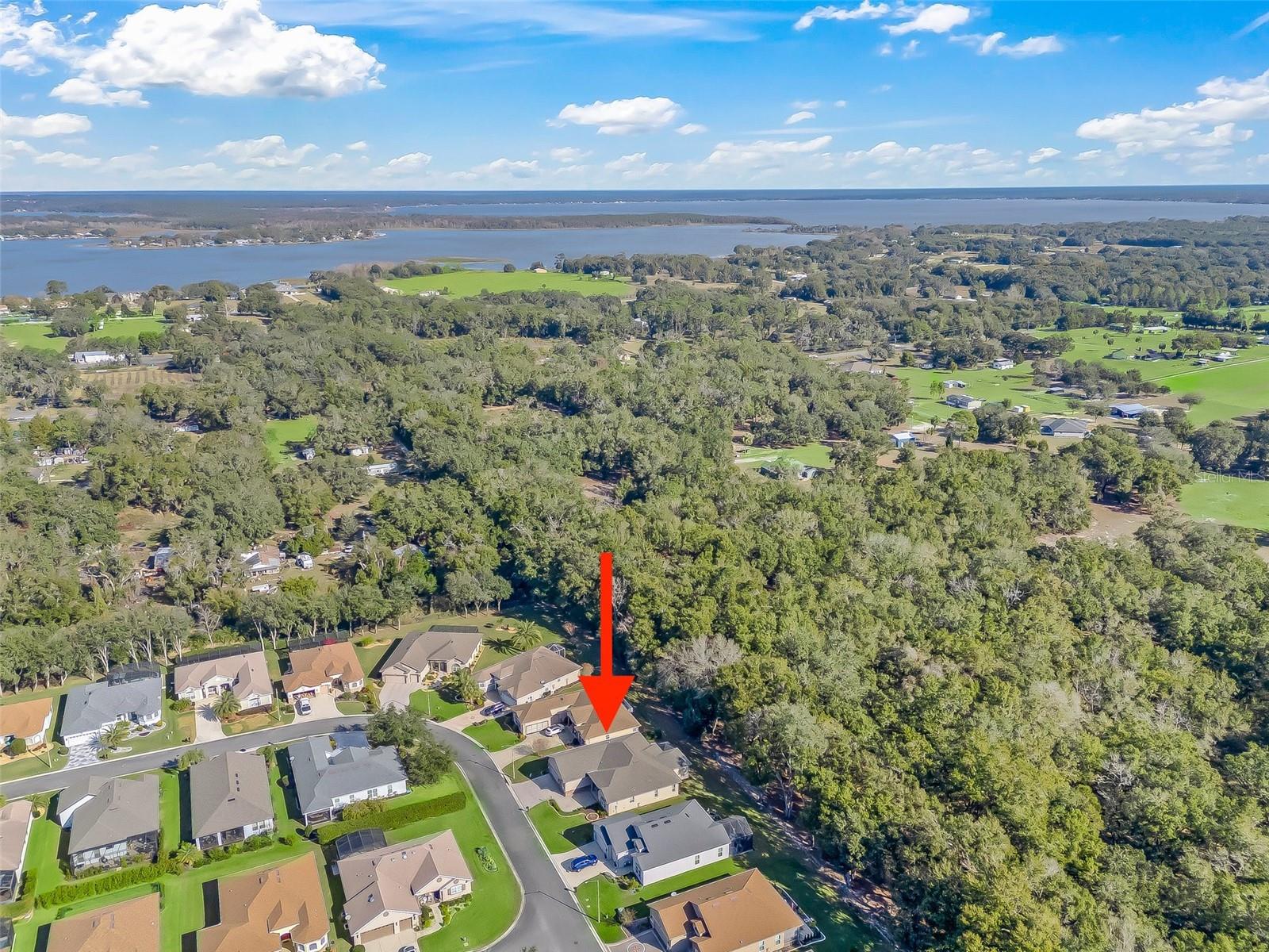 10994 SE 168TH LOOP, SUMMERFIELD, FL, 34491