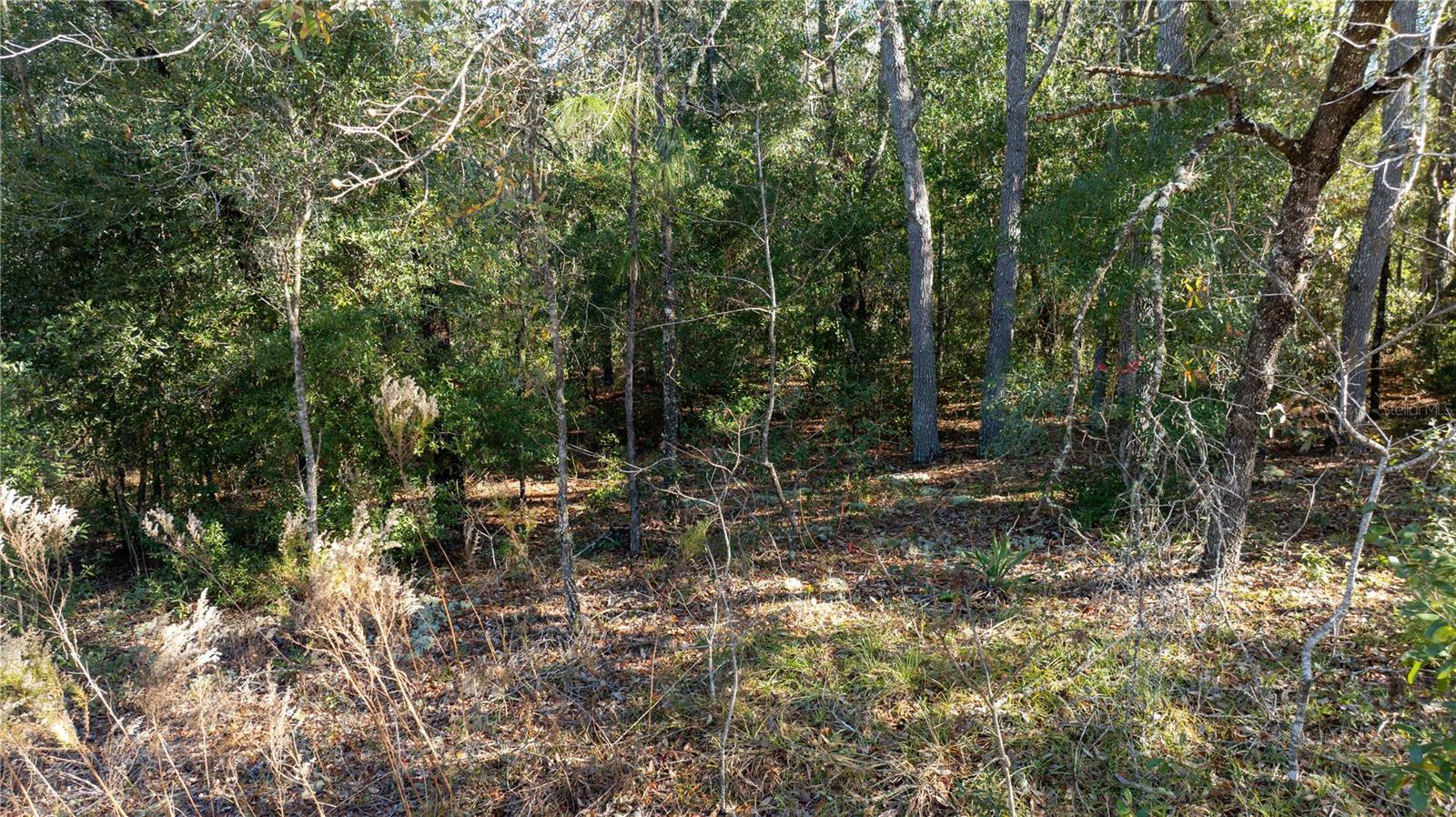 1233 W SHADY LN, DUNNELLON, FL, 34434