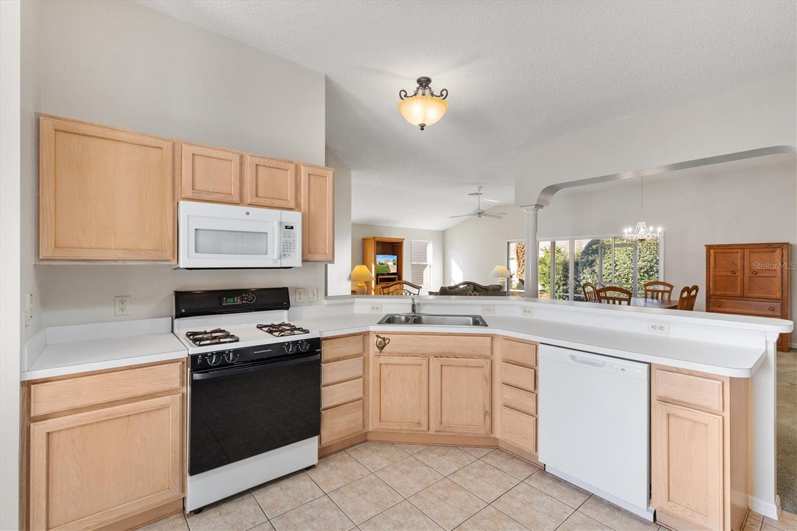 3009 PAYNES PL, THE VILLAGES, FL, 32162