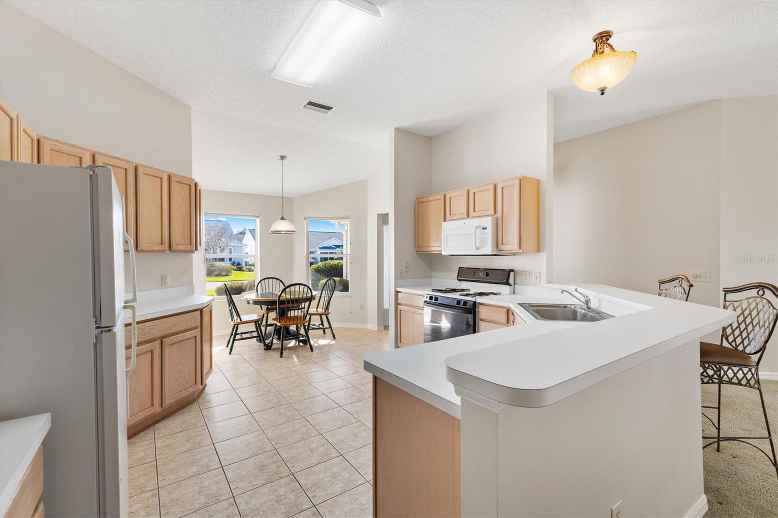 3009 PAYNES PL, THE VILLAGES, FL, 32162