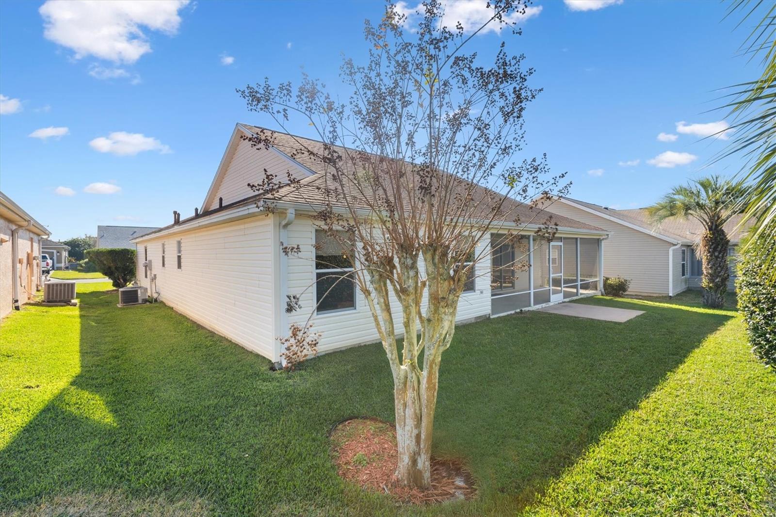 3009 PAYNES PL, THE VILLAGES, FL, 32162
