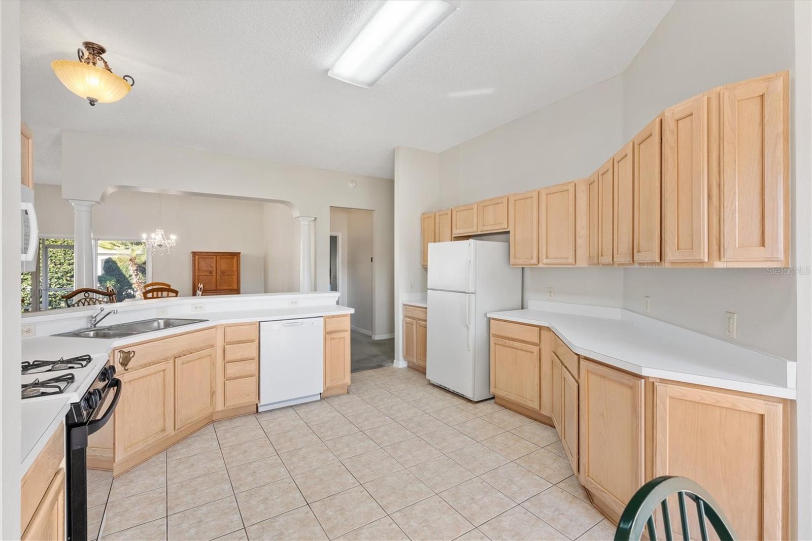 3009 PAYNES PL, THE VILLAGES, FL, 32162