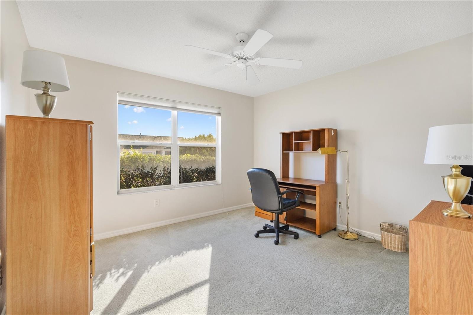 3009 PAYNES PL, THE VILLAGES, FL, 32162