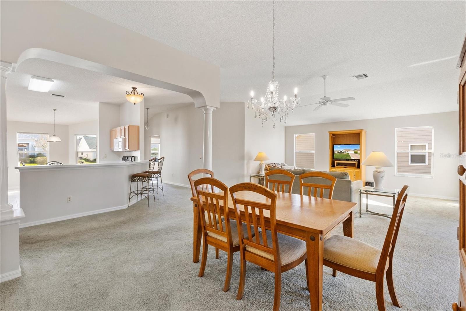 3009 PAYNES PL, THE VILLAGES, FL, 32162