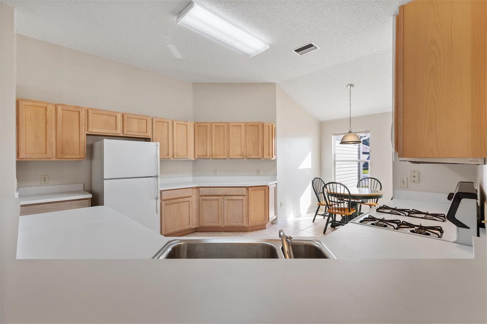 3009 PAYNES PL, THE VILLAGES, FL, 32162