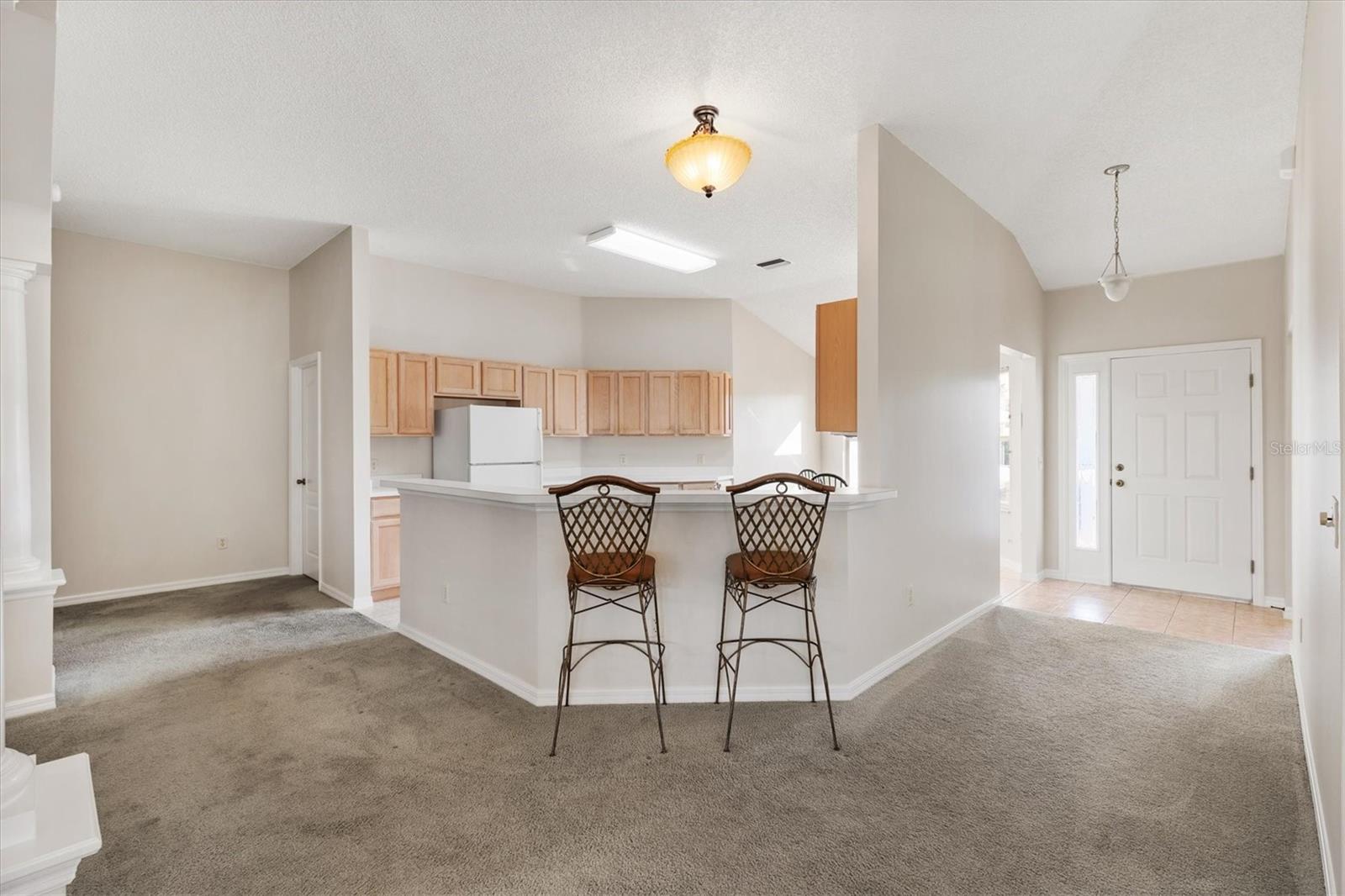 3009 PAYNES PL, THE VILLAGES, FL, 32162