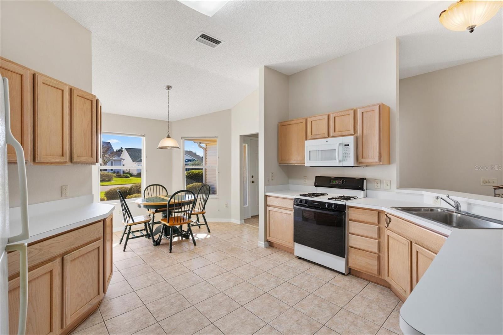 3009 PAYNES PL, THE VILLAGES, FL, 32162