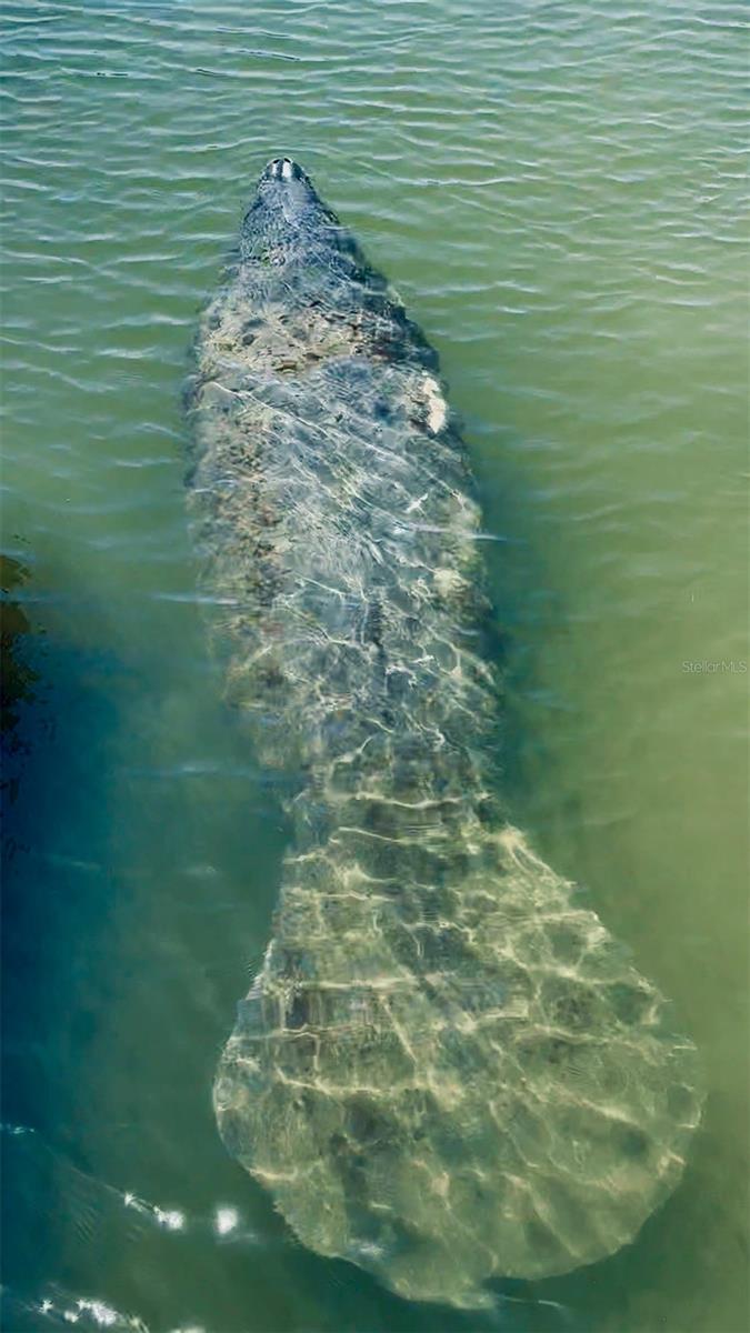 9393 MIDNIGHT PASS RD #201, SARASOTA, FL, 34242