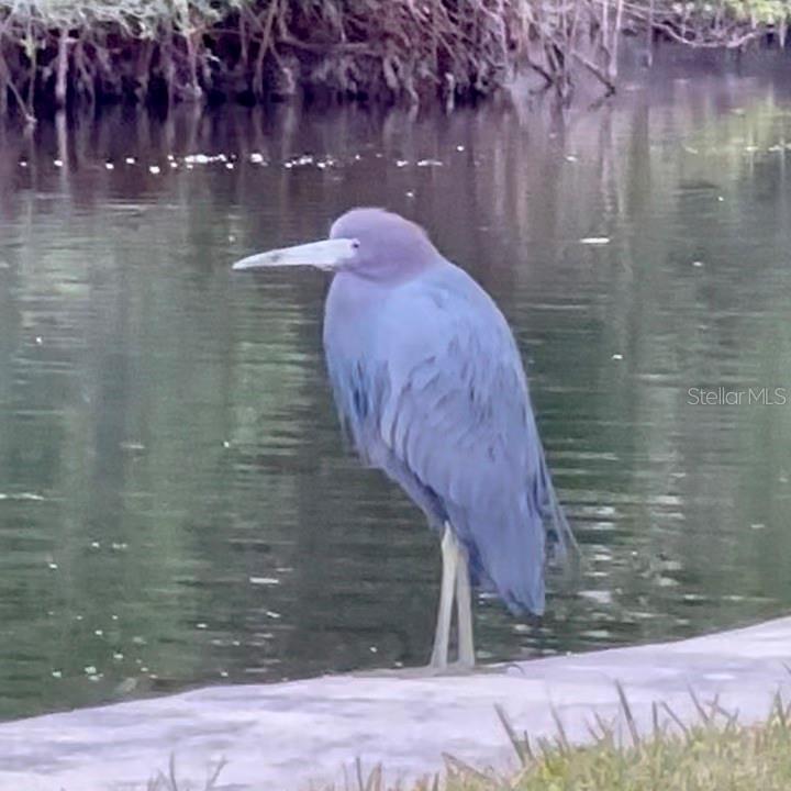 9393 MIDNIGHT PASS RD #201, SARASOTA, FL, 34242