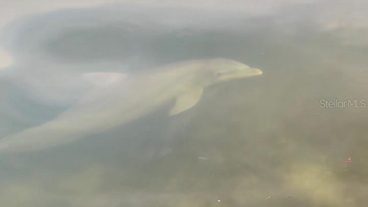 9393 MIDNIGHT PASS RD #201, SARASOTA, FL, 34242