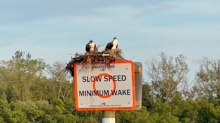 9393 MIDNIGHT PASS RD #201, SARASOTA, FL, 34242