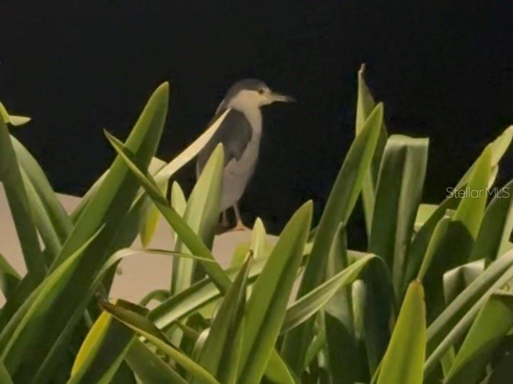 9393 MIDNIGHT PASS RD #201, SARASOTA, FL, 34242