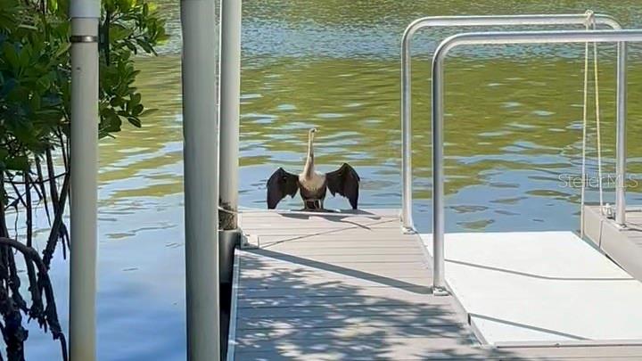 9393 MIDNIGHT PASS RD #201, SARASOTA, FL, 34242