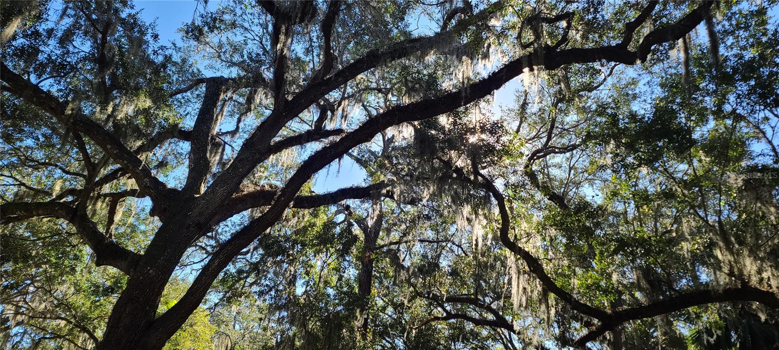 6 MID OAKS CIR #6, PALM COAST, FL, 32137