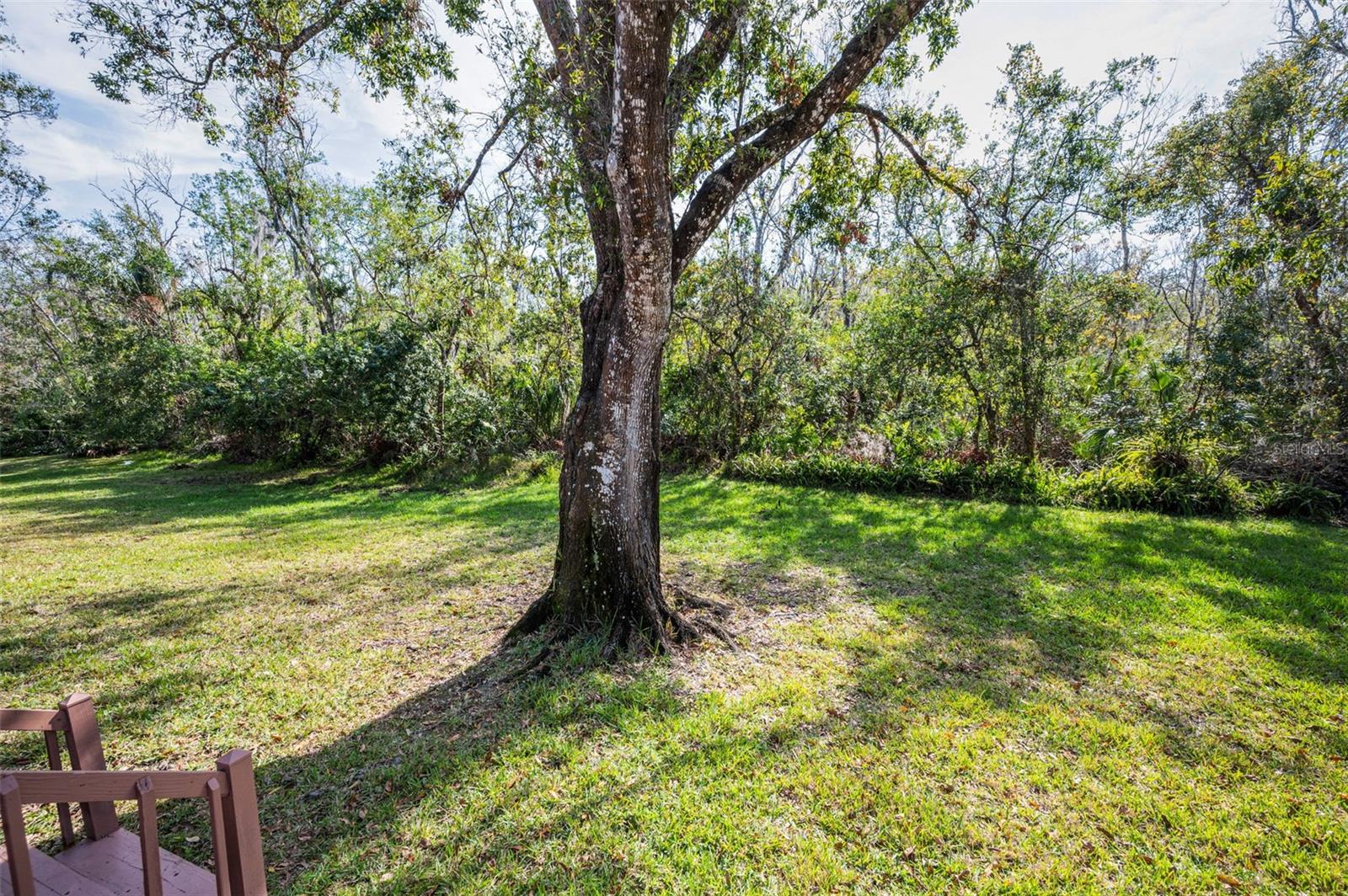 1055 RIVERSIDE RIDGE RD, TARPON SPRINGS, FL, 34688
