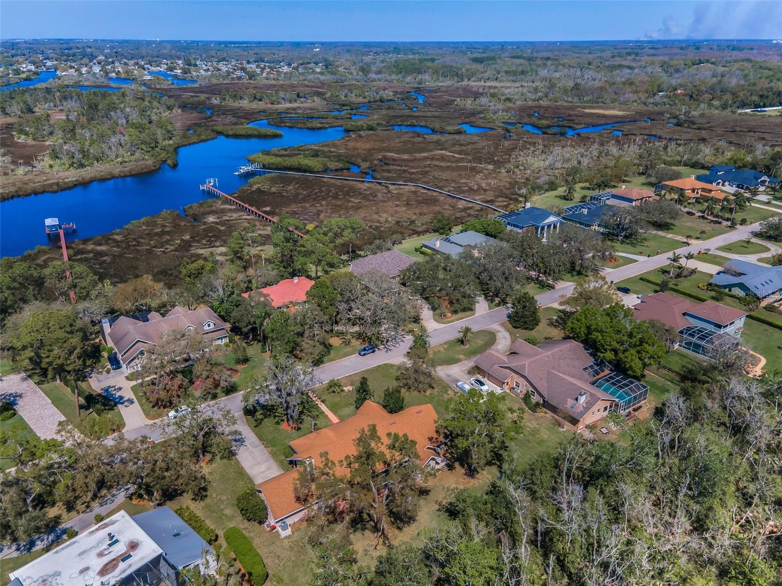 1055 RIVERSIDE RIDGE RD, TARPON SPRINGS, FL, 34688