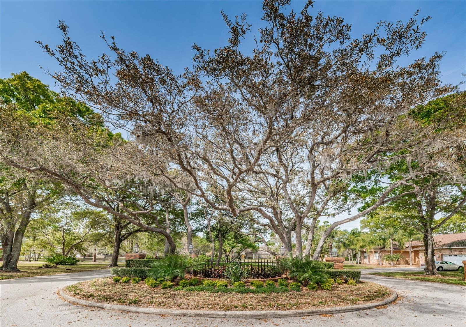 1055 RIVERSIDE RIDGE RD, TARPON SPRINGS, FL, 34688