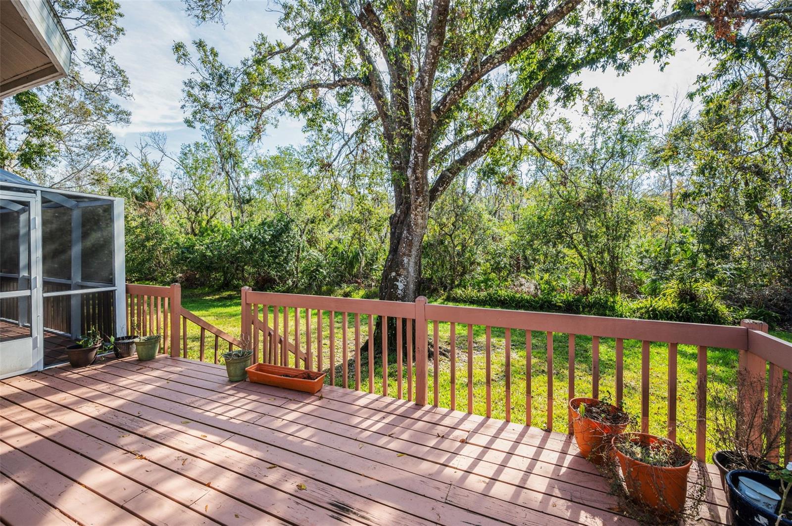 1055 RIVERSIDE RIDGE RD, TARPON SPRINGS, FL, 34688