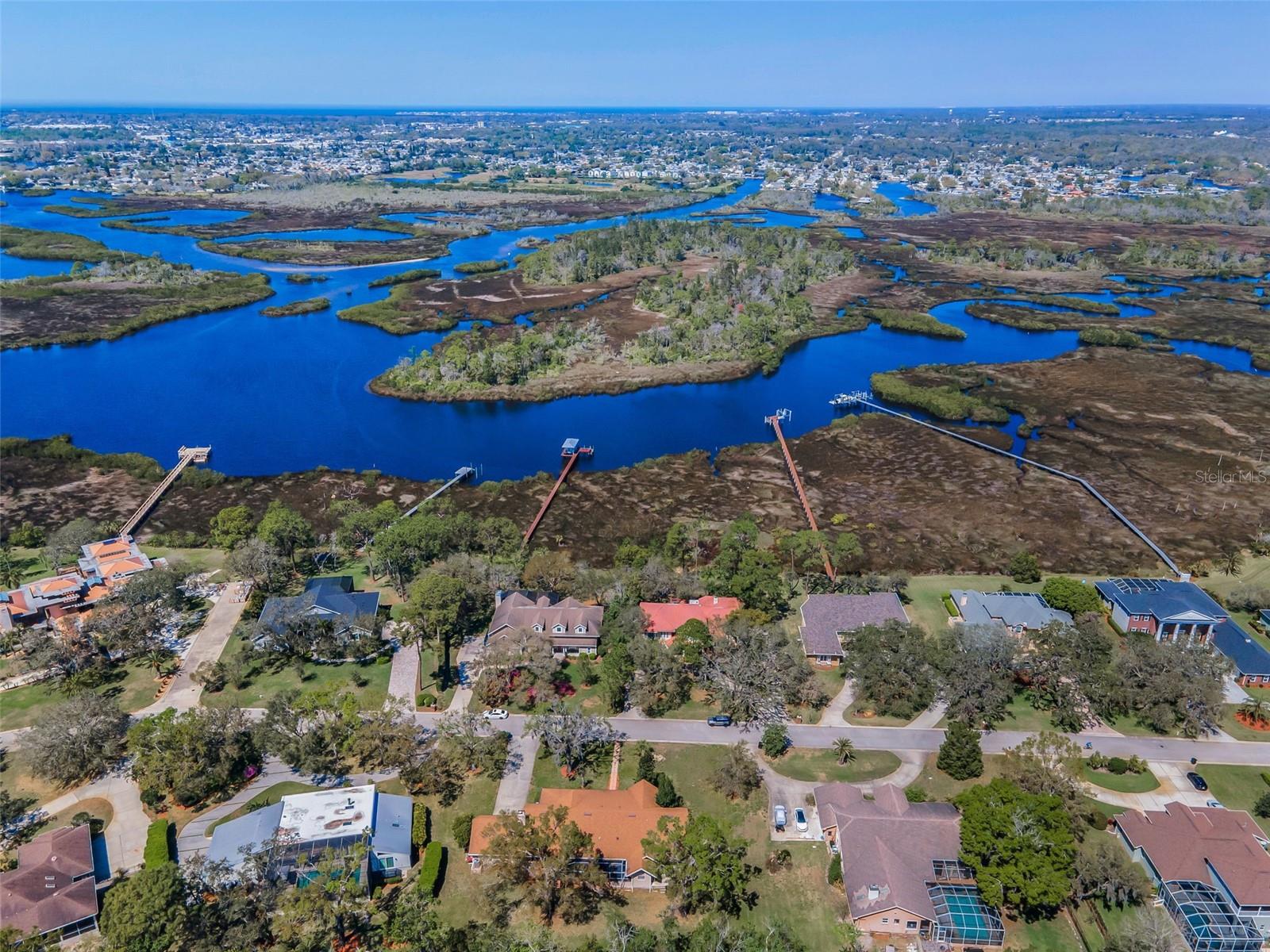 1055 RIVERSIDE RIDGE RD, TARPON SPRINGS, FL, 34688