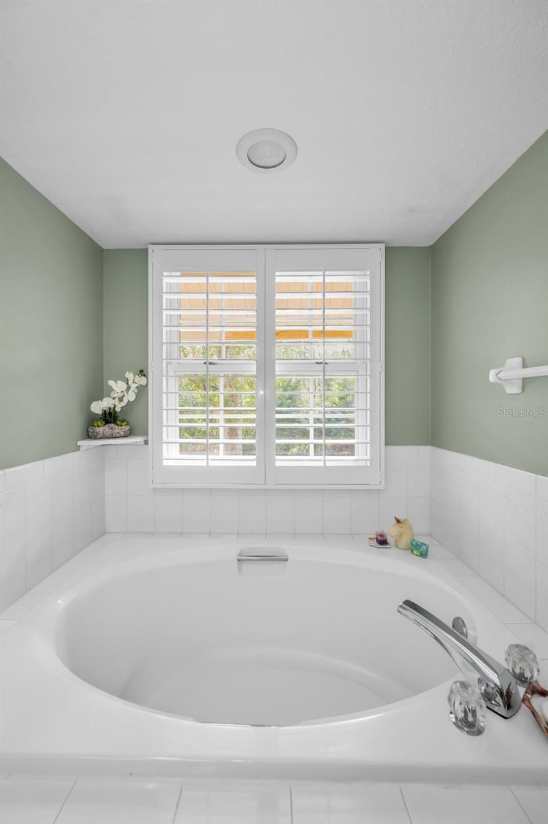 1055 RIVERSIDE RIDGE RD, TARPON SPRINGS, FL, 34688