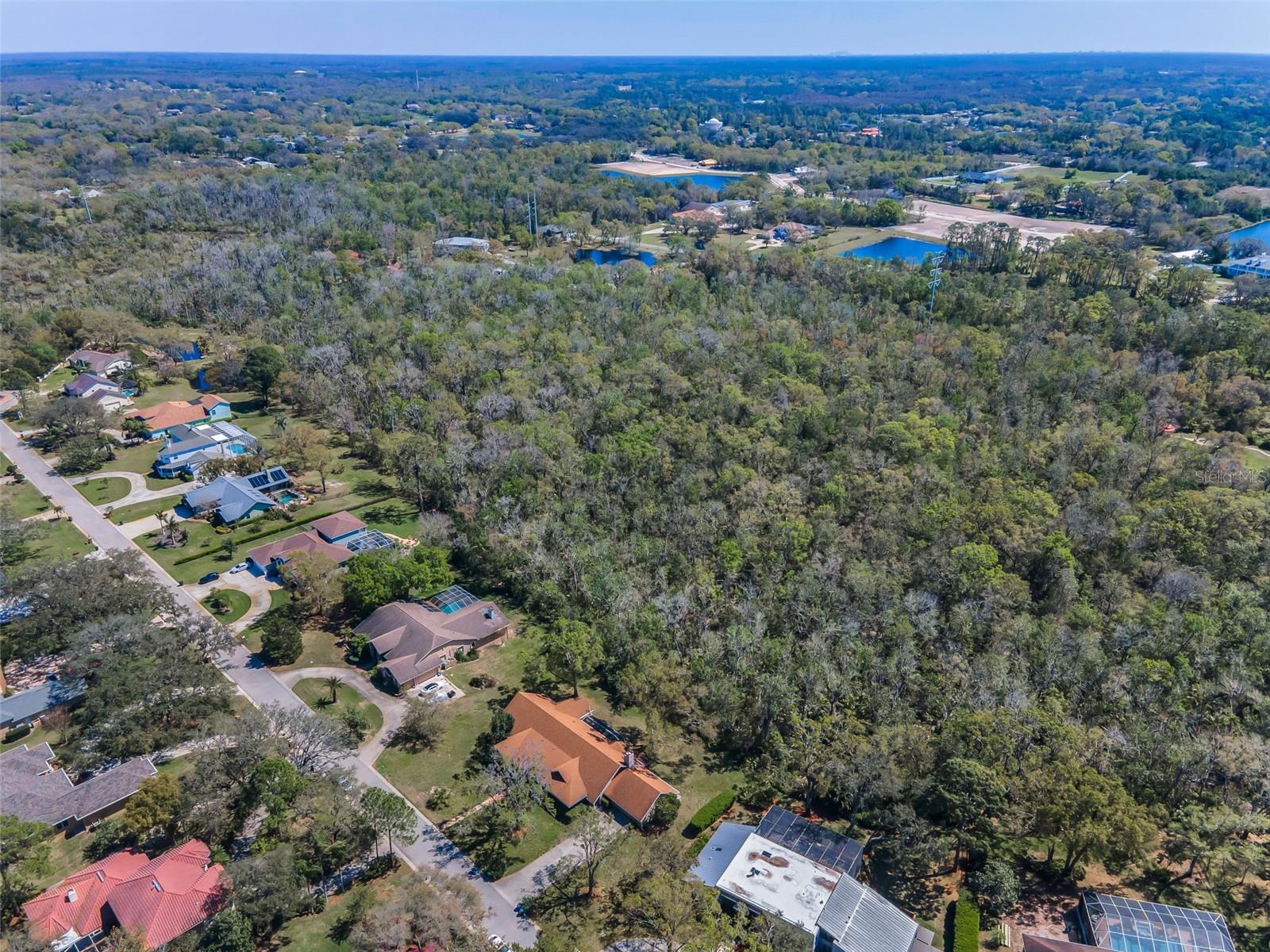 1055 RIVERSIDE RIDGE RD, TARPON SPRINGS, FL, 34688