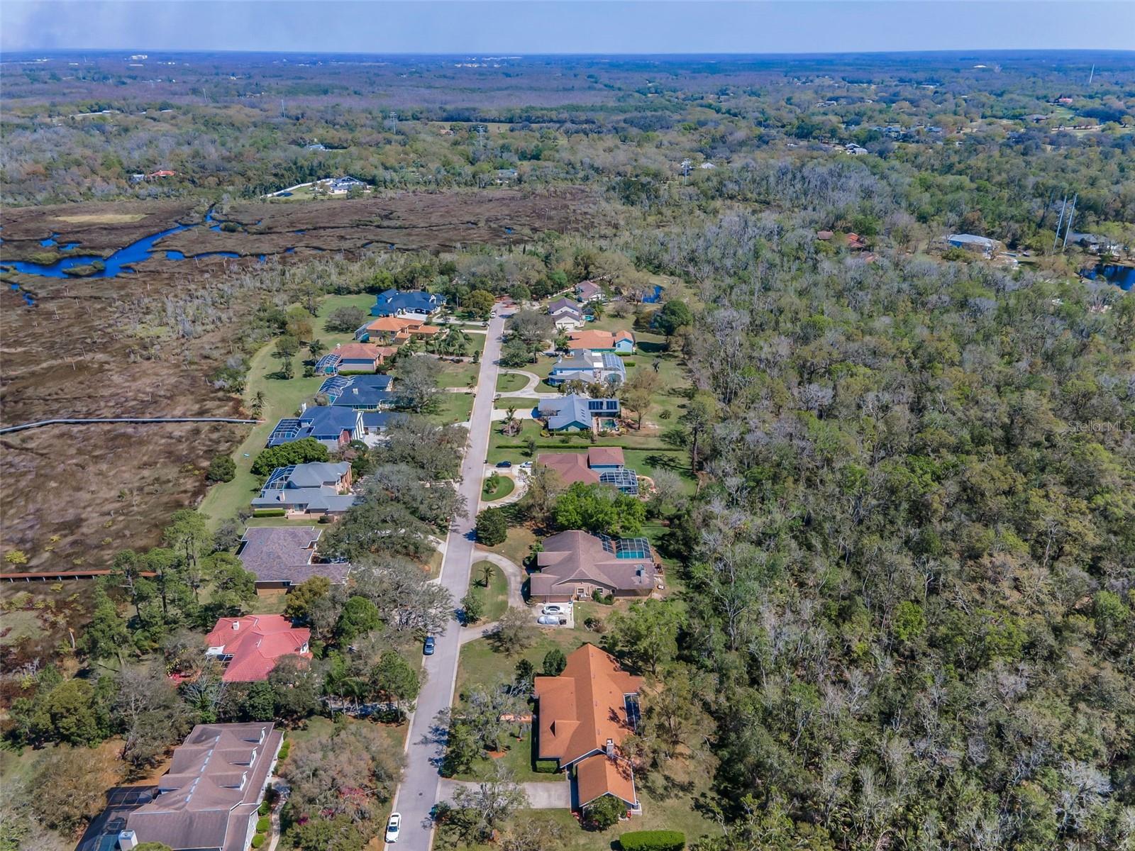 1055 RIVERSIDE RIDGE RD, TARPON SPRINGS, FL, 34688