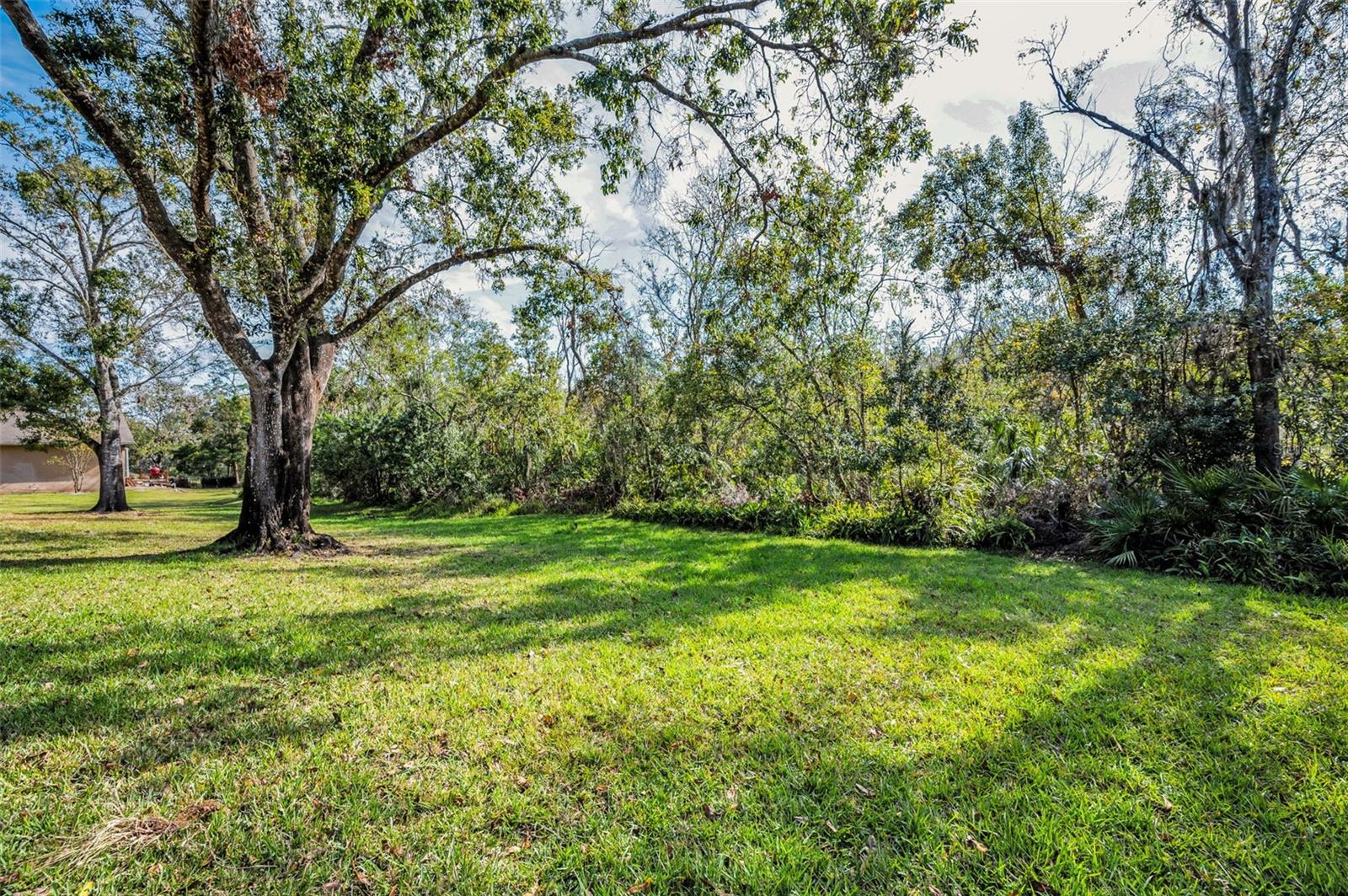 1055 RIVERSIDE RIDGE RD, TARPON SPRINGS, FL, 34688
