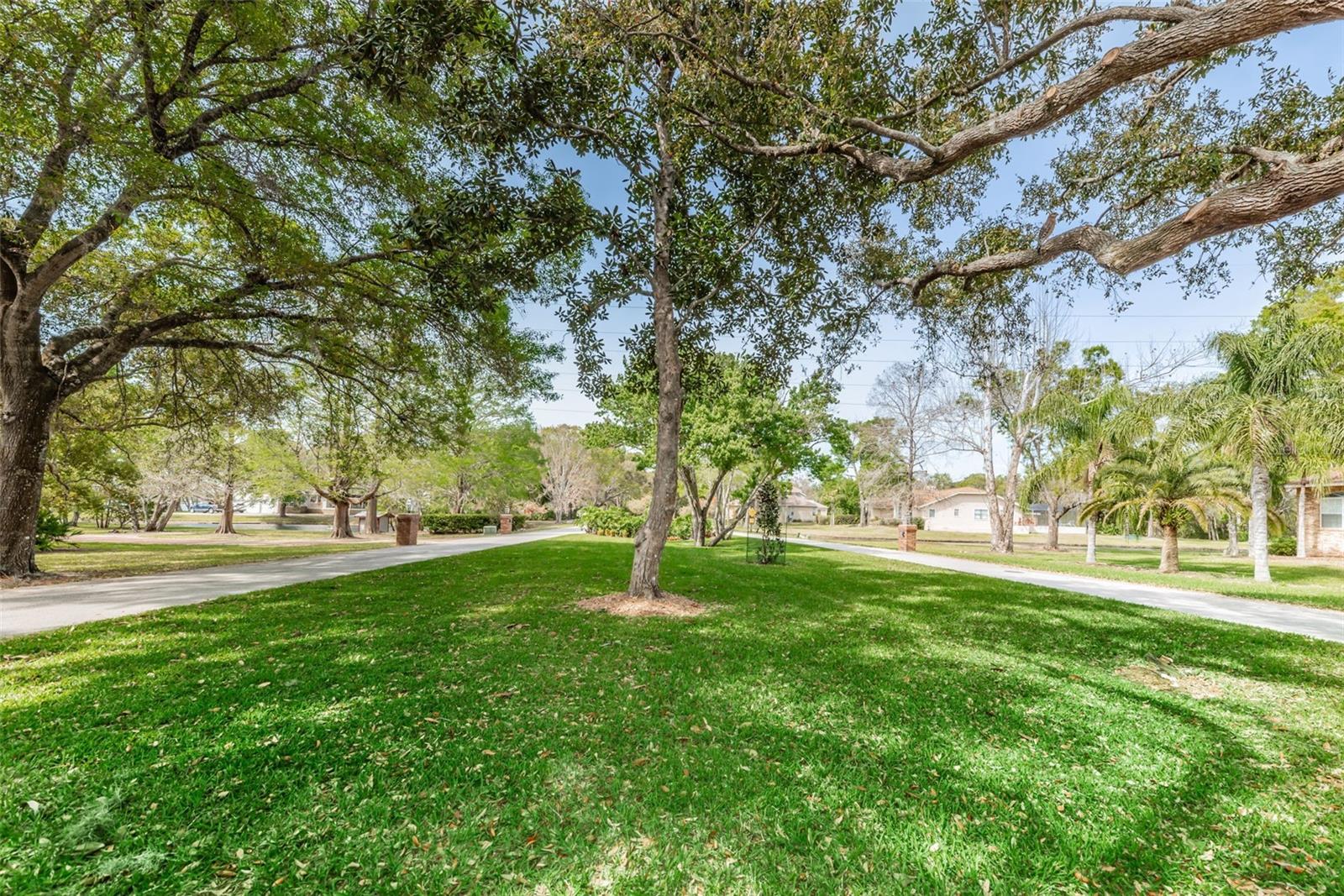 1055 RIVERSIDE RIDGE RD, TARPON SPRINGS, FL, 34688