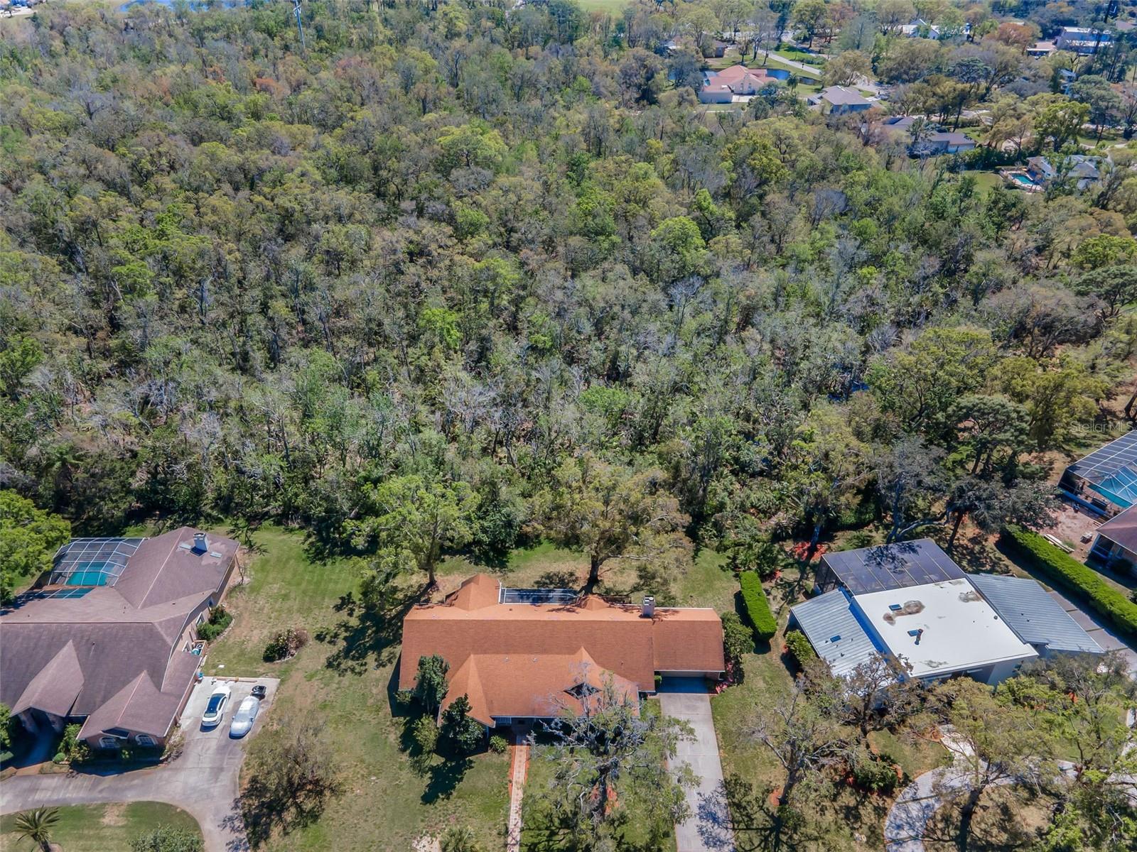 1055 RIVERSIDE RIDGE RD, TARPON SPRINGS, FL, 34688