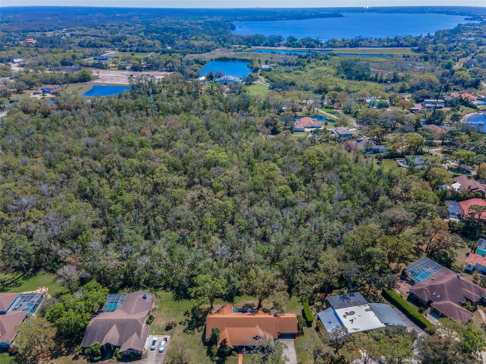 1055 RIVERSIDE RIDGE RD, TARPON SPRINGS, FL, 34688