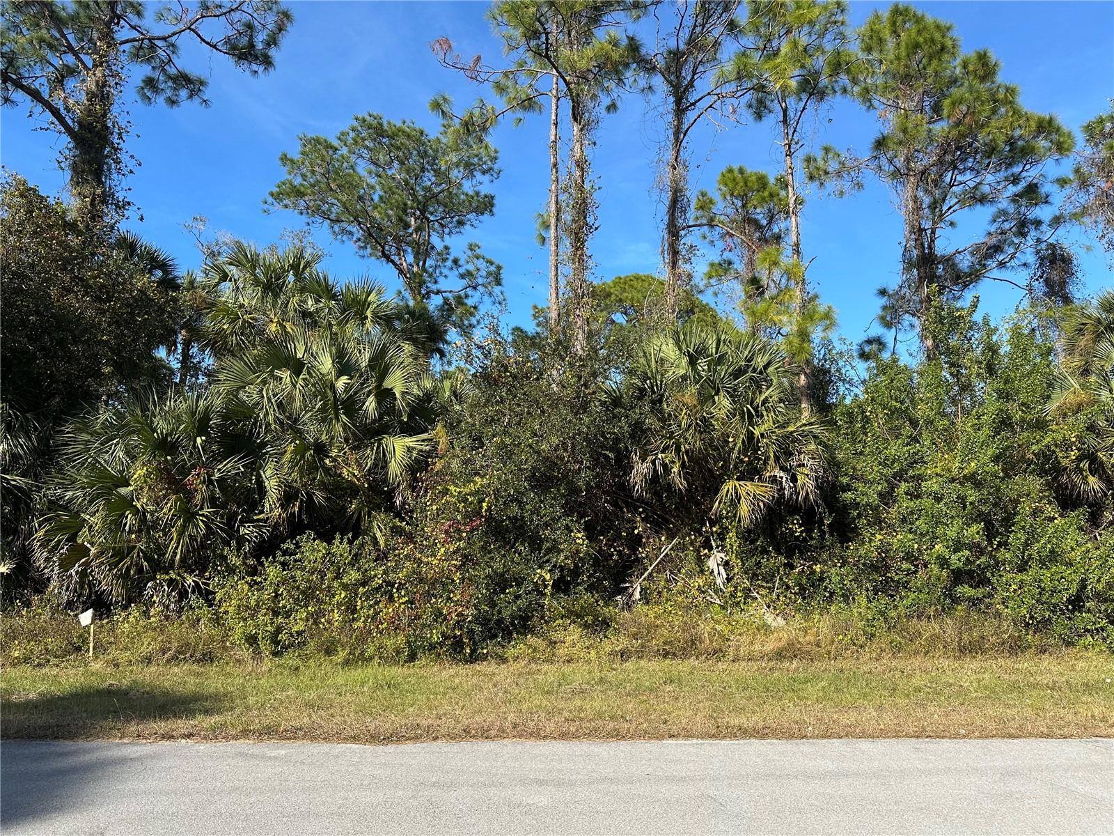 8028 WINDSWEPT CIR, LABELLE, FL, 33935