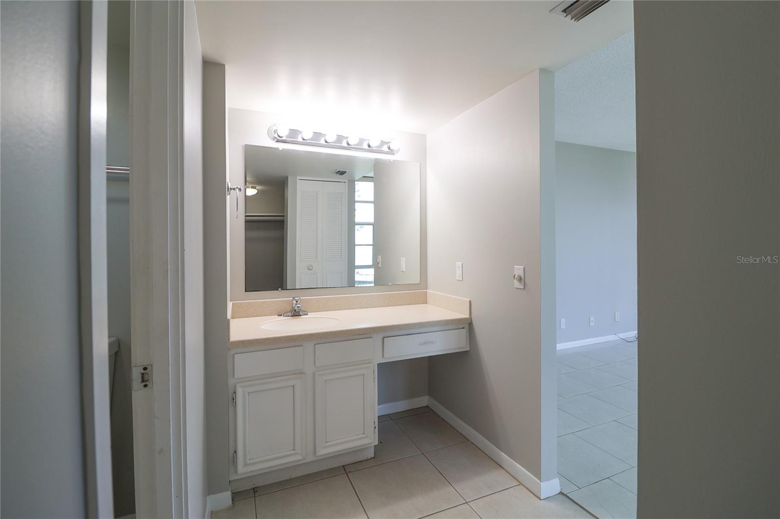 Separate vanity area in master bath