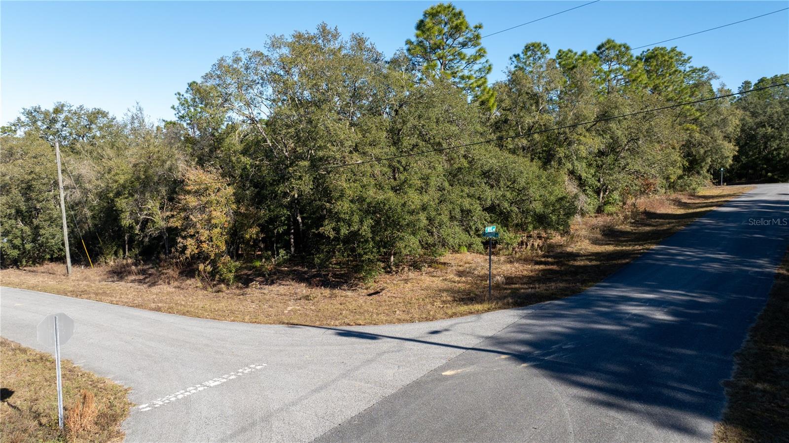 1243 W SHADY LN, DUNNELLON, FL, 34434