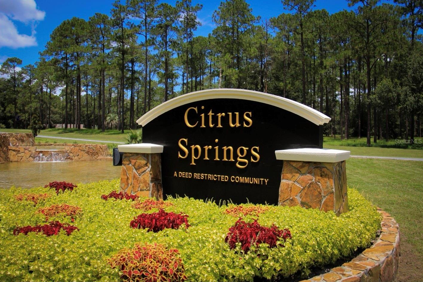9220 N MENDOZA, CITRUS SPRINGS, FL, 34434