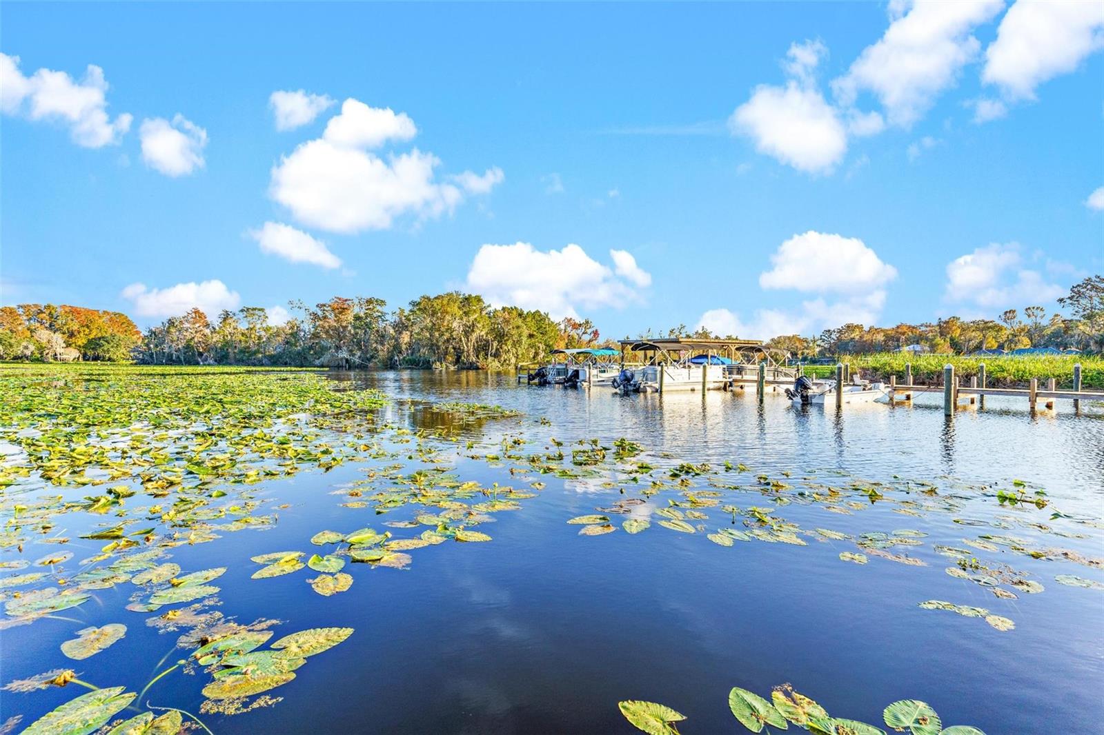 934 BELLE OAK DR, LEESBURG, FL, 34748