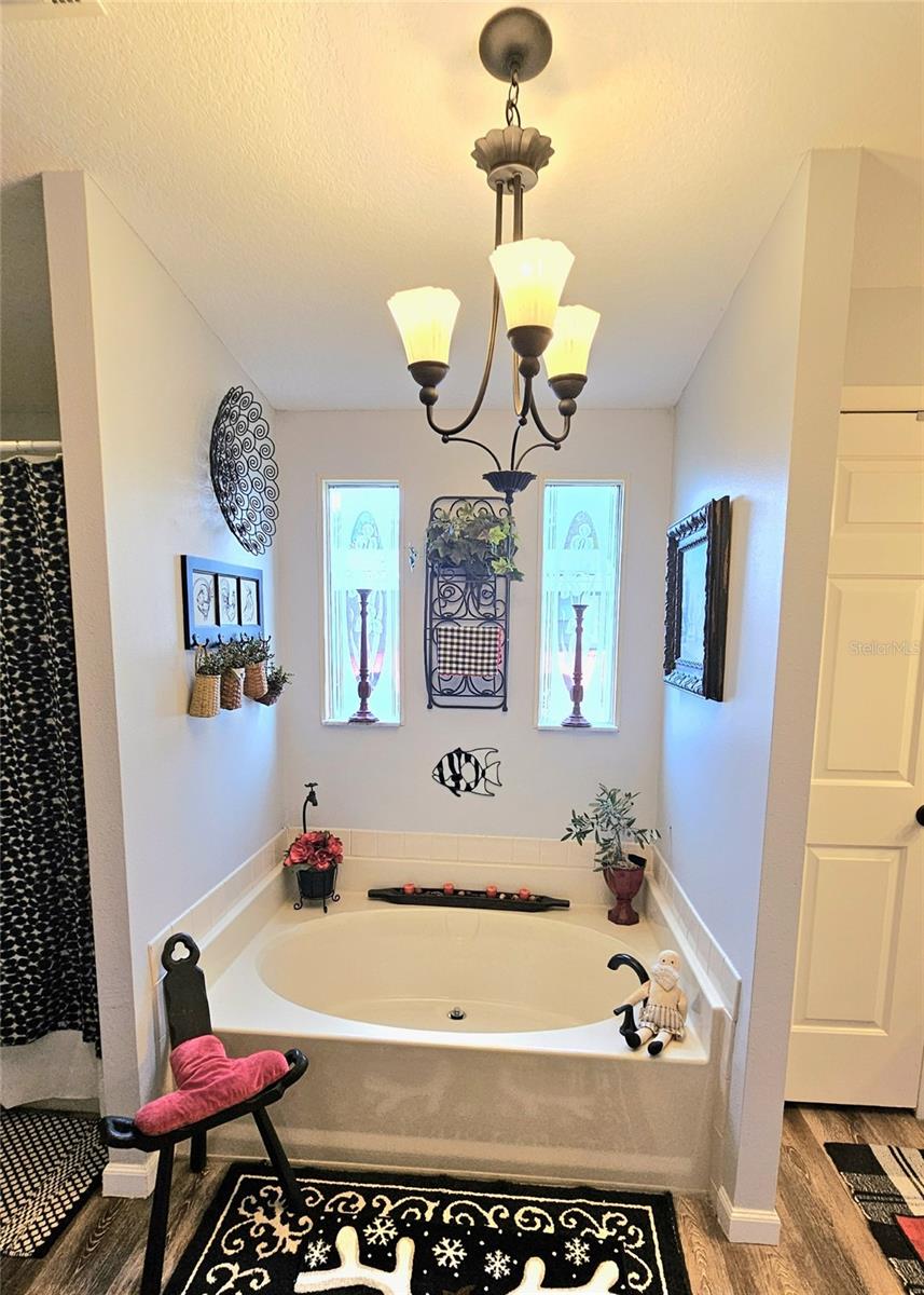 1715 LILLY LN, LADY LAKE, FL, 32159