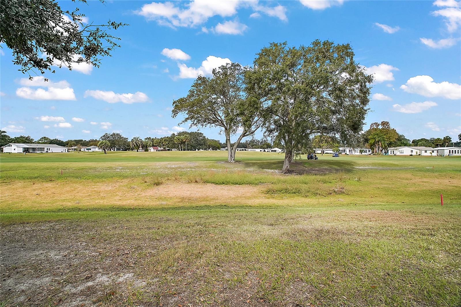 1715 LILLY LN, LADY LAKE, FL, 32159