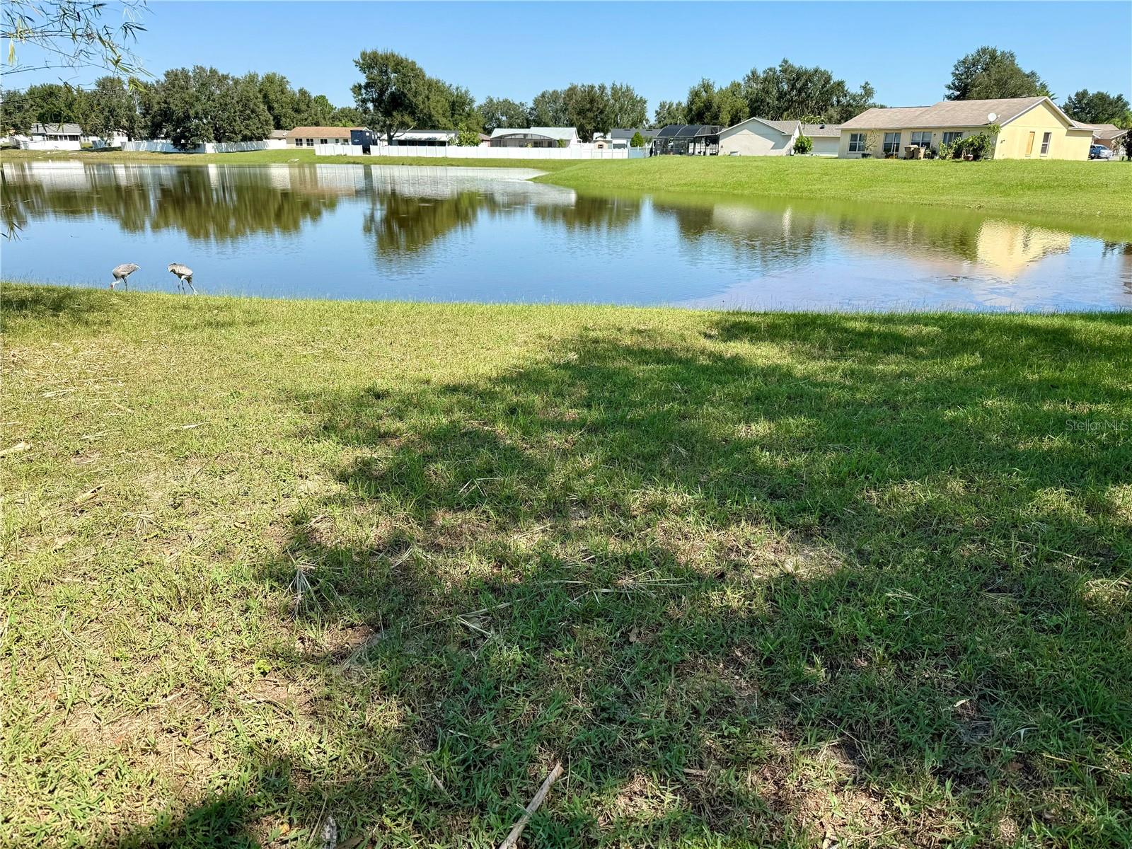 15044 MARGAUX DR, CLERMONT, FL, 34714