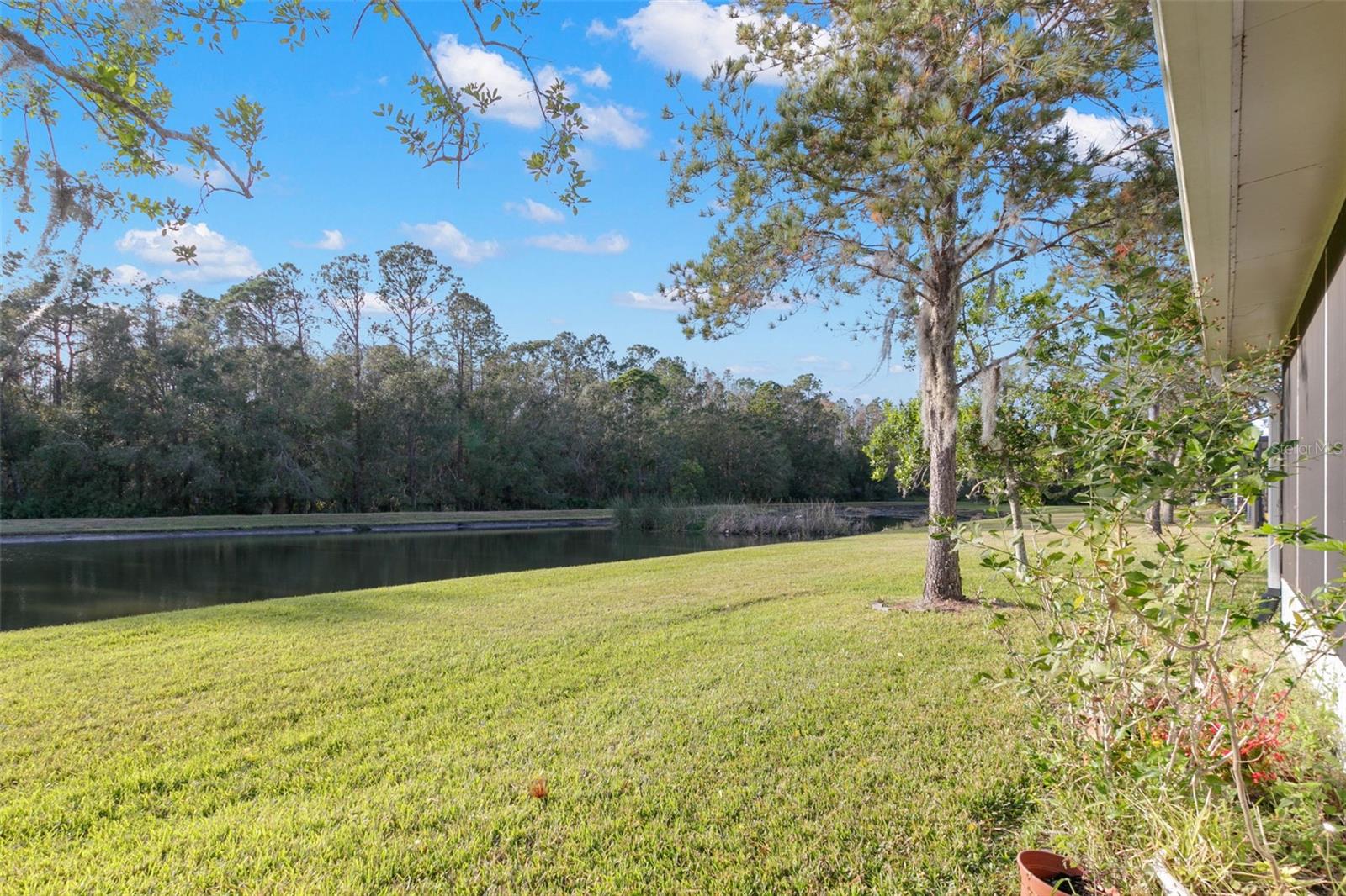 7838 TUSCANY WOODS DR, TAMPA, FL, 33647
