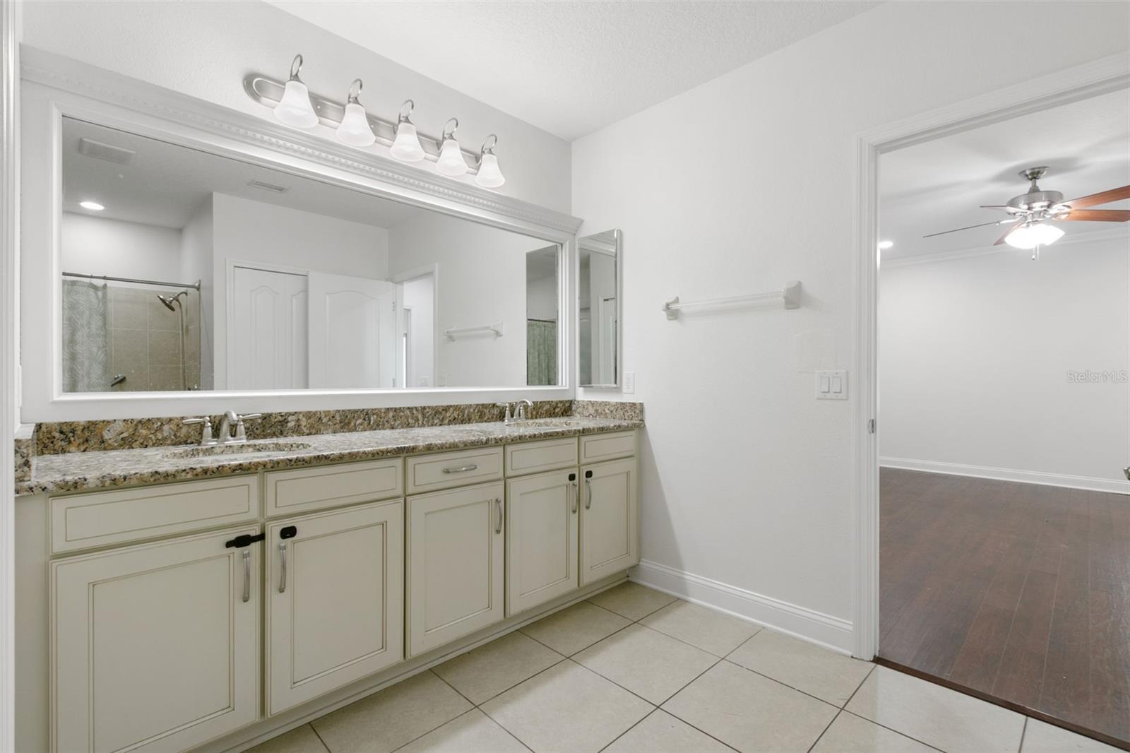 7838 TUSCANY WOODS DR, TAMPA, FL, 33647
