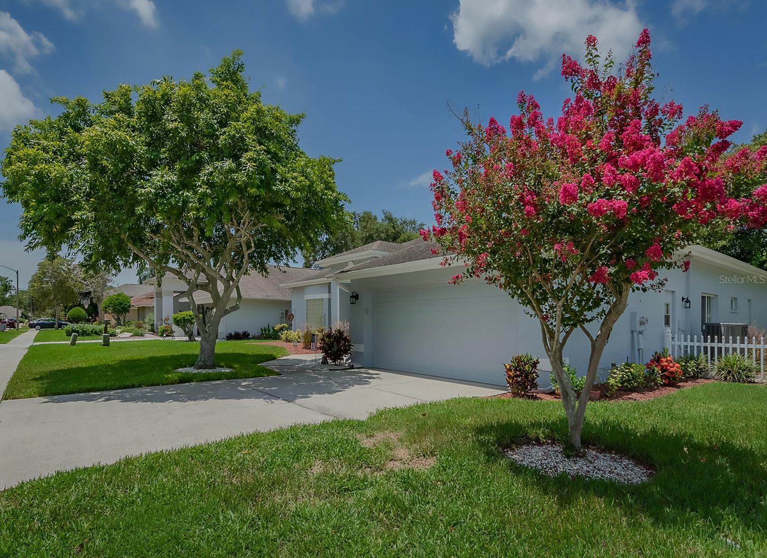 4050 EAGLE COVE EAST DR, PALM HARBOR, FL, 34685