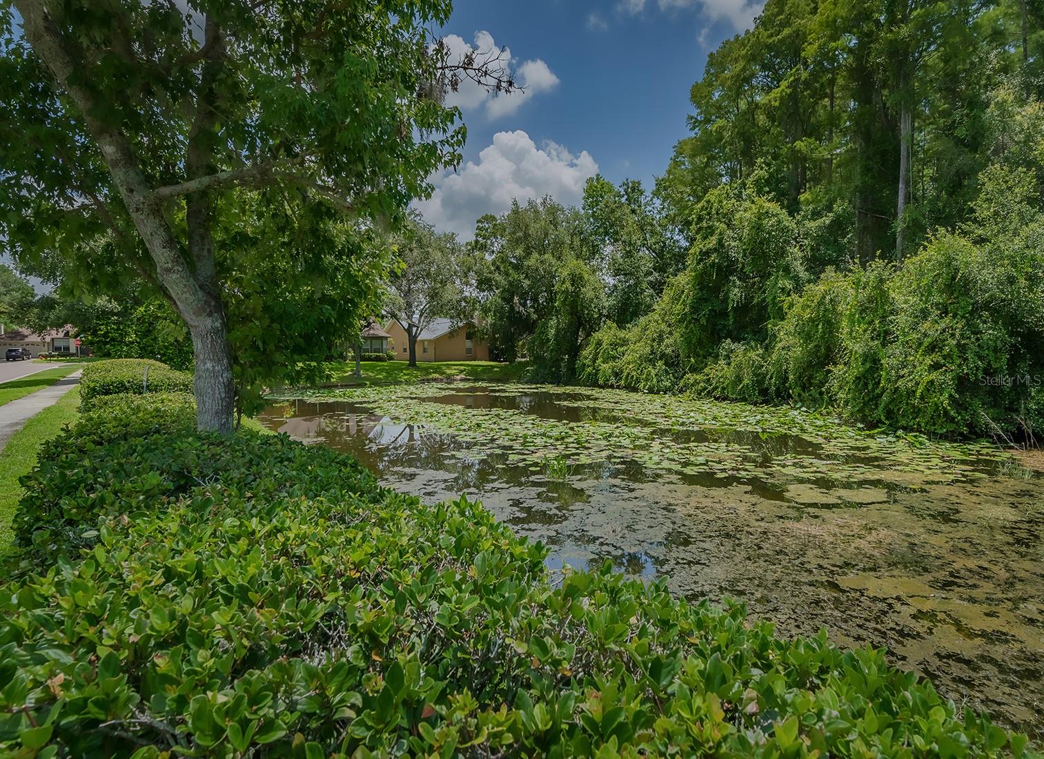 4050 EAGLE COVE EAST DR, PALM HARBOR, FL, 34685