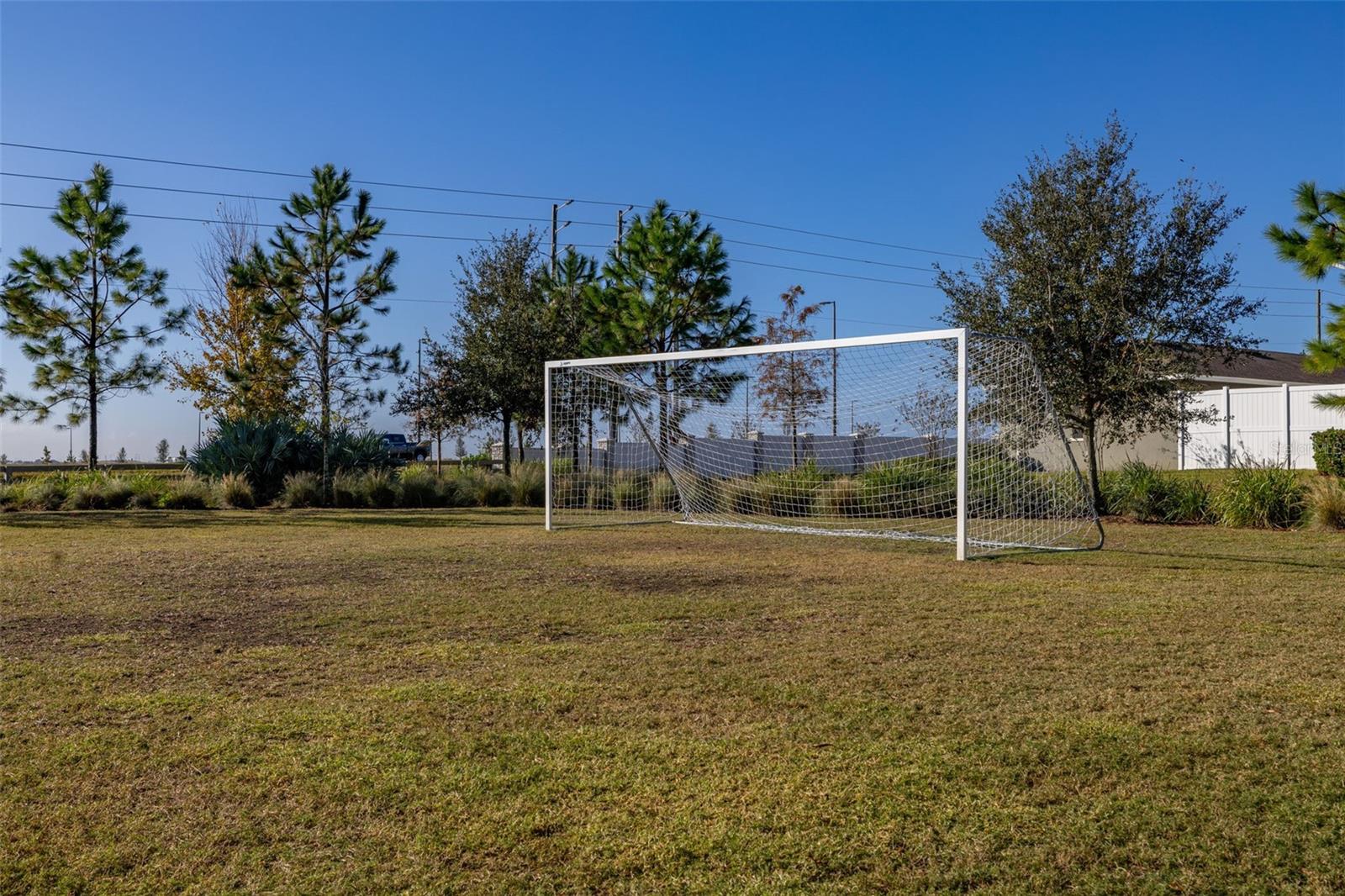 6185 ELFIN HERB WAY, WINTER GARDEN, FL, 34787