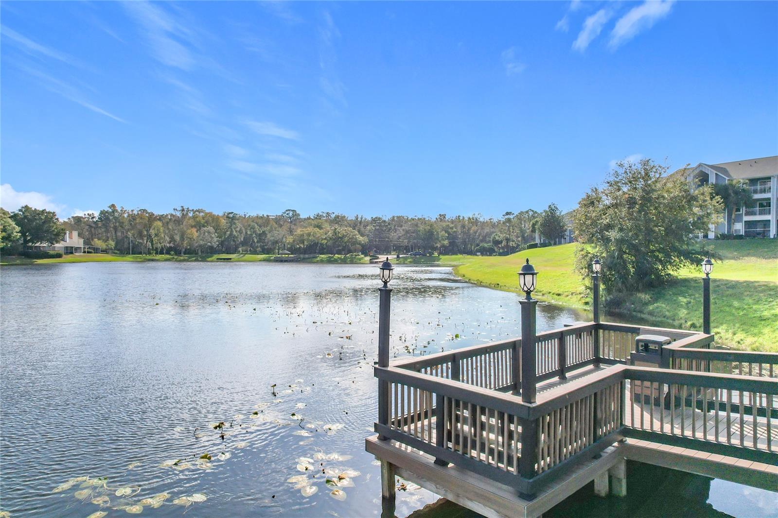 2533 GRASSY POINT DR #203, LAKE MARY, FL, 32746